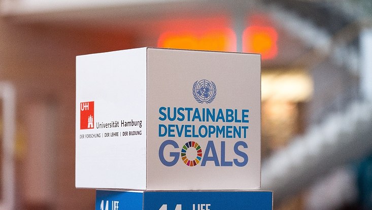 SDG Würfel