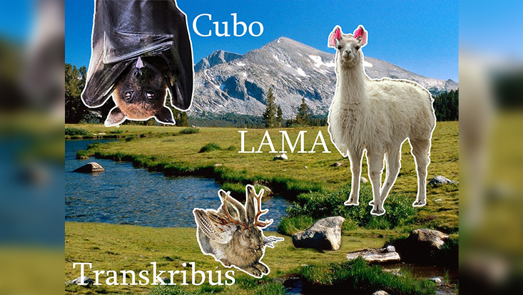 Plakat "Hase Cubo und das Lama"